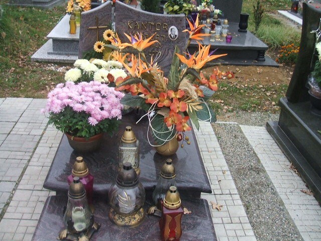 Grób Norbert Kantor