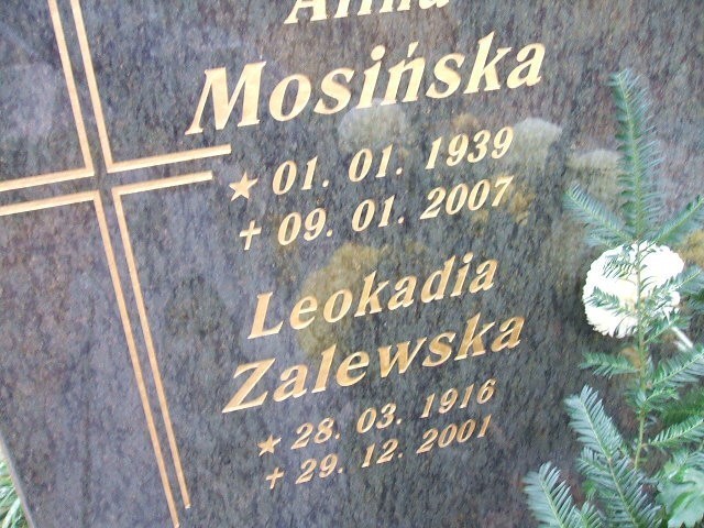 Bogumiła Zalewska-Kutela 1946 Wodzisław Śląski - Grobonet - Wyszukiwarka osób pochowanych