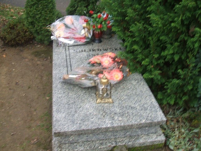 Grób Antoni Sulikowski