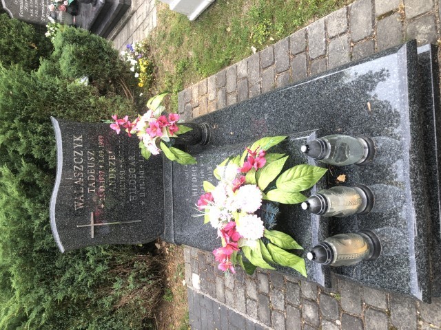 Andrzej Walaszczyk 1961 Wodzisław Śląski - Grobonet - Wyszukiwarka osób pochowanych