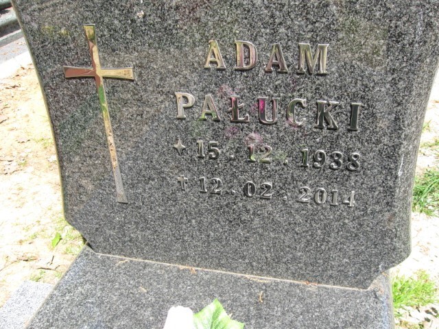 Grób Adam Pałucki