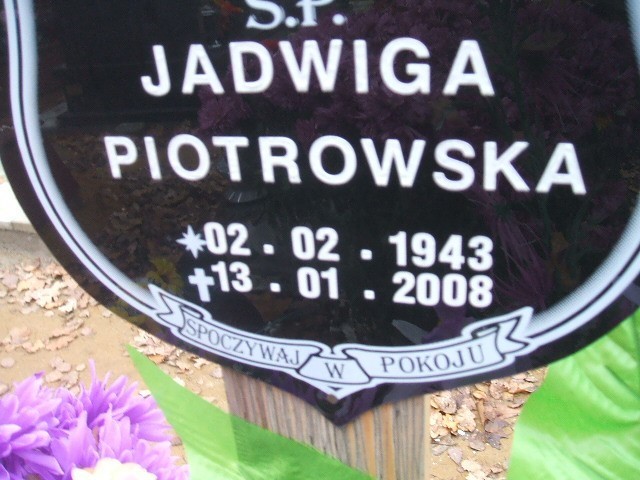 Jadwiga Piotrowska 1943 Wodzisław Śląski - Grobonet - Wyszukiwarka osób pochowanych